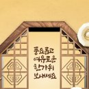 석인 Daum카페