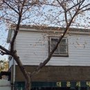 대륜세탁소 이미지