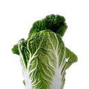 남양주나무요양병원 이미지