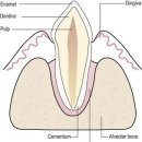 첨단사랑동물병원 이미지