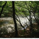 임기 지장암 이미지