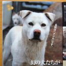 정순농장 이미지