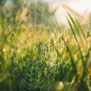 제이에스소아청소년과의원 이미지