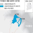 원시림 이미지