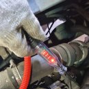 보성카밧데리 이미지