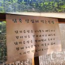 유로애견농원 | [가평] 애견동반 가능한 프라이빗 방갈로 &#34;동기간&#34;