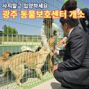 광주광역시 동물보호센터 | 마세요. 입양하세요.' 호남권 최초 유기 동물 입양 안심 펫 보험 지원하는 광주광역시 동물보호센터 개소