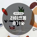 라이크몽 이미지