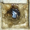 성원목욕탕 이미지