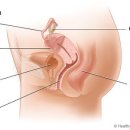 나래한의원 이미지