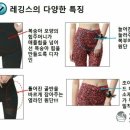 제니패션 - 구리시 경춘로172번길 42 | 제니패션