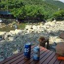 농암대 | [계곡 후기] 주말마다 경남계곡 뿌시기 그리고 1위는