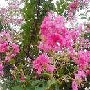 마스터즈공인중개사사무소 이미지