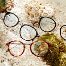 파프리카안경 수영점 이미지