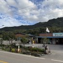 숲속의 빈터 이미지