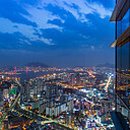 D00088 티스토리