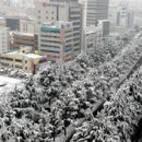 동대구로 이미지