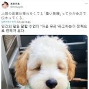 식정2 네이버블로그