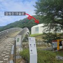 장흥 산벚나무길 | 양주 장욱진미술관 근처 맛집 장흥봉주르 내돈내산 후기, 솔직하게 아쉬웠던 점