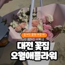 서구-02-22 | [대전 꽃집] 양가 부모님 첫인사 성공! 오월애플라워 둔산점 솔직 후기 (알림받기 할인 &amp; 주차 꿀팁)