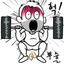 드래곤복싱클럽 이미지
