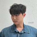 프링헤어 이미지