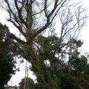 난산리-8 이미지