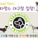 스타멍스 이미지