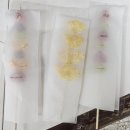 대단한탕후루성동