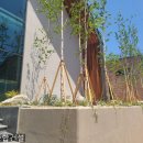 화성종합건설 하우스 오브 금산 신축 건물 시공 후기