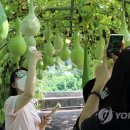 결성면 원천마을회관 이미지