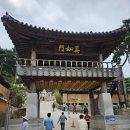 부처님오신날 봉축법요식 | 흑석동 달마사, 불기 2569(2025) 부처님오신날 봉축 법요식 풍경