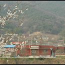 송천1리 마을회관 이미지