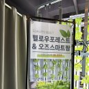 노아스마트팜