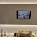 전남반려동물장례식장푸른솔 이미지