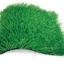 문경게이트볼장 이미지