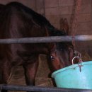 홍주대서 이미지