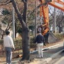 도로점용공사(통신주) - 익산시 삼기면 | 도로점용공사(통신주)