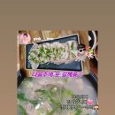 촌집돼지국밥 이미지