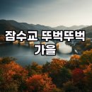 찾아가는 꽃자리콘서트 | 2025년 10월 축제 차 없는 잠수교 뚜벅뚜벅 축제, 가을 서울의 낭만을 걸어요