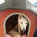 코코모텔 이미지