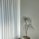 빌라오몬도 이미지