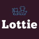 에이치엠인터내셔날(주) 이미지