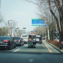 대릉원 화장실 | 2026 경주 벚꽃 마라톤 Half 대회 우중런 후기 + 대릉원 돌담길 축제 여행