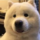 브이 피트니스 이미지