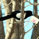 박달2동경로당 이미지