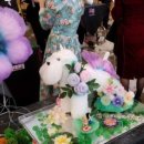 파리봉강아지미용실 이미지