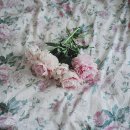 영어회화 왕초보 이미지