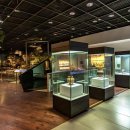 오산리선사유적박물관 이미지