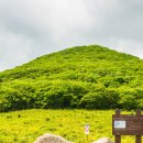 곰배령 PC 이미지